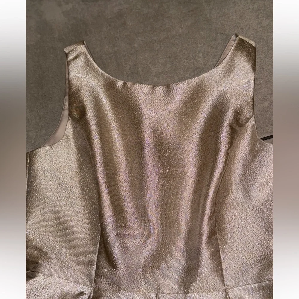 White House Black Market Champagne Glitter Cocktail Holiday NYE Dress Size 2 - Picture 7 of 15
